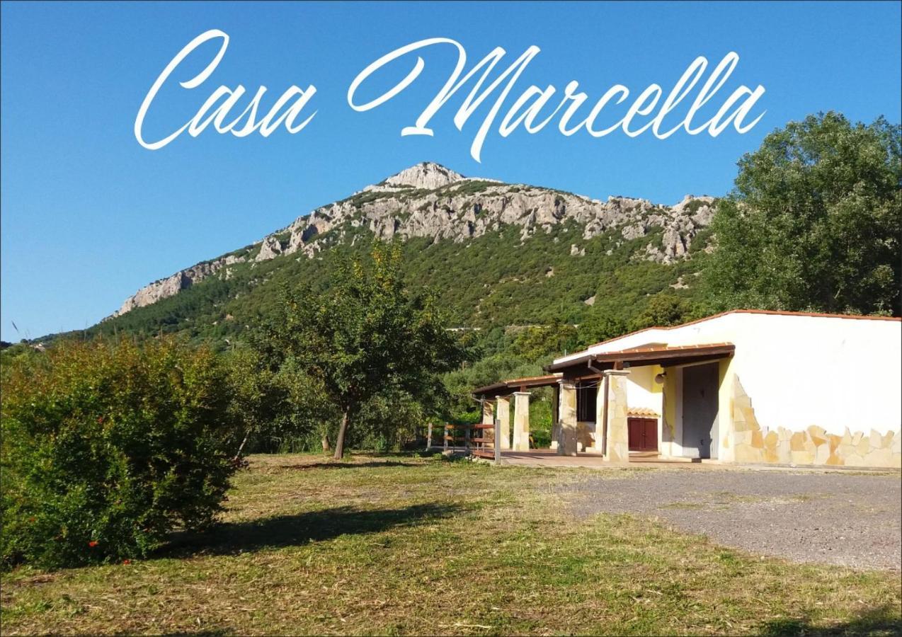 Casa Marcella Daire Dorgali Dış mekan fotoğraf