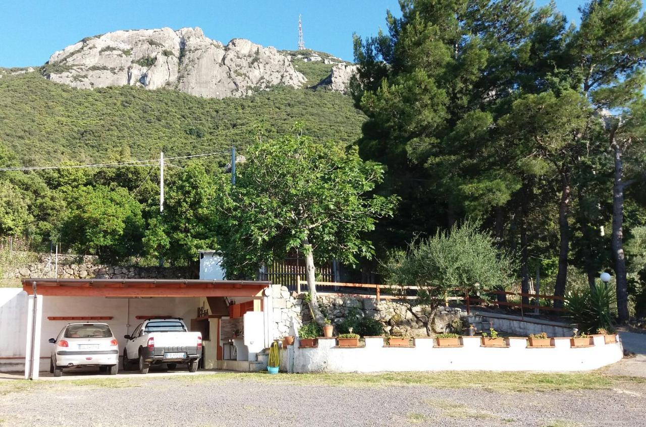 Casa Marcella Daire Dorgali Dış mekan fotoğraf
