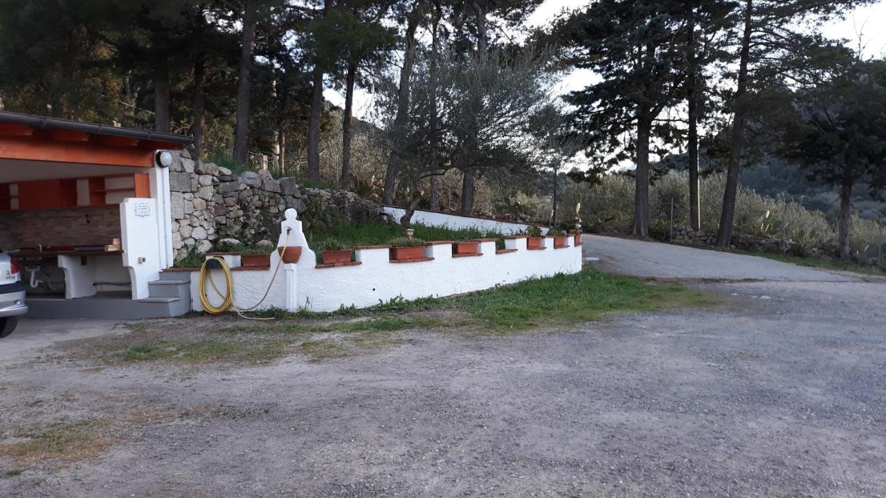 Casa Marcella Daire Dorgali Dış mekan fotoğraf