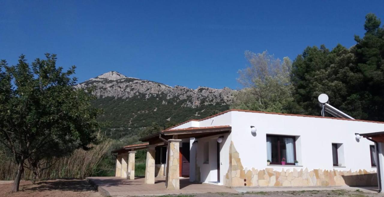 Casa Marcella Daire Dorgali Dış mekan fotoğraf